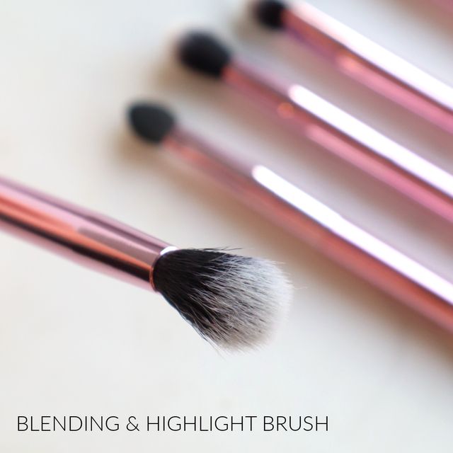 Alex Eyeshadow Brush Set Alex Eyeshadow Brush Set